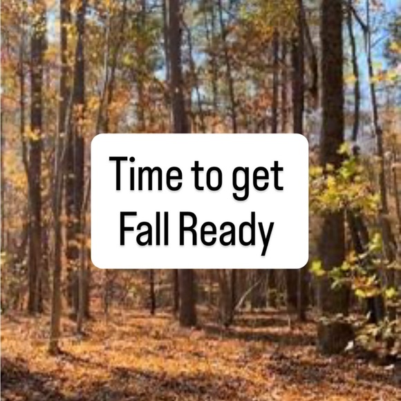 Louis Vuitton Monogram Speedy 40 - Picture 2 of 11